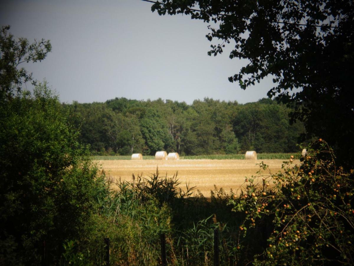 L'oree Du Bois Holiday home Coutiches